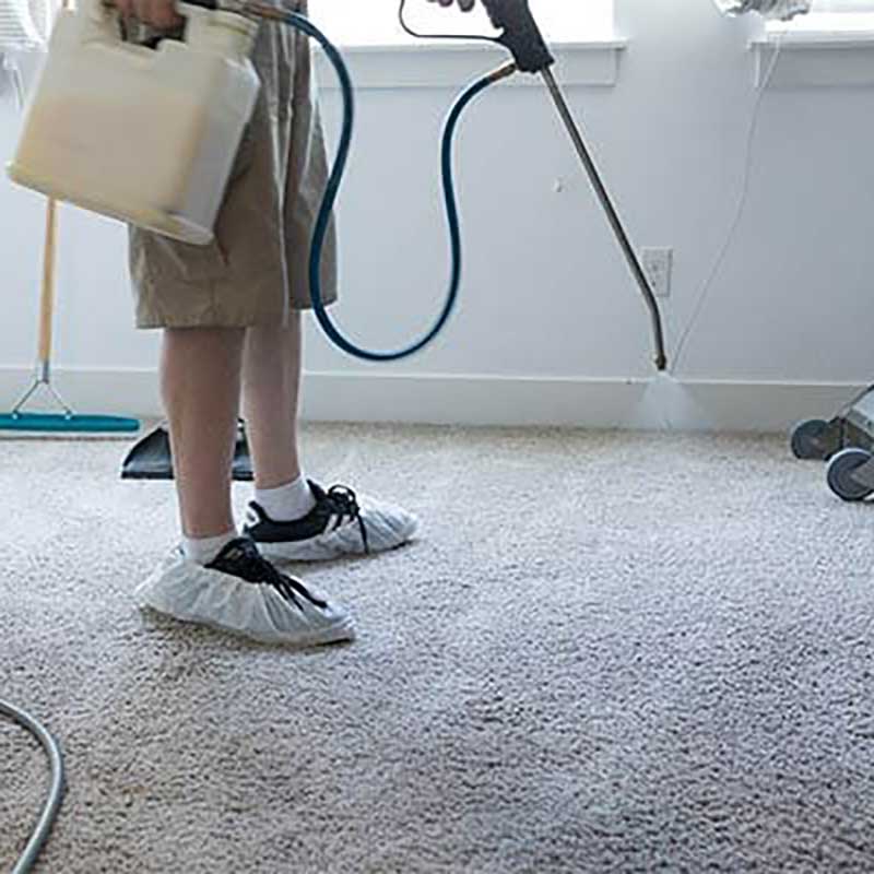 Mr. Eats-It Carpet Pre-Spray